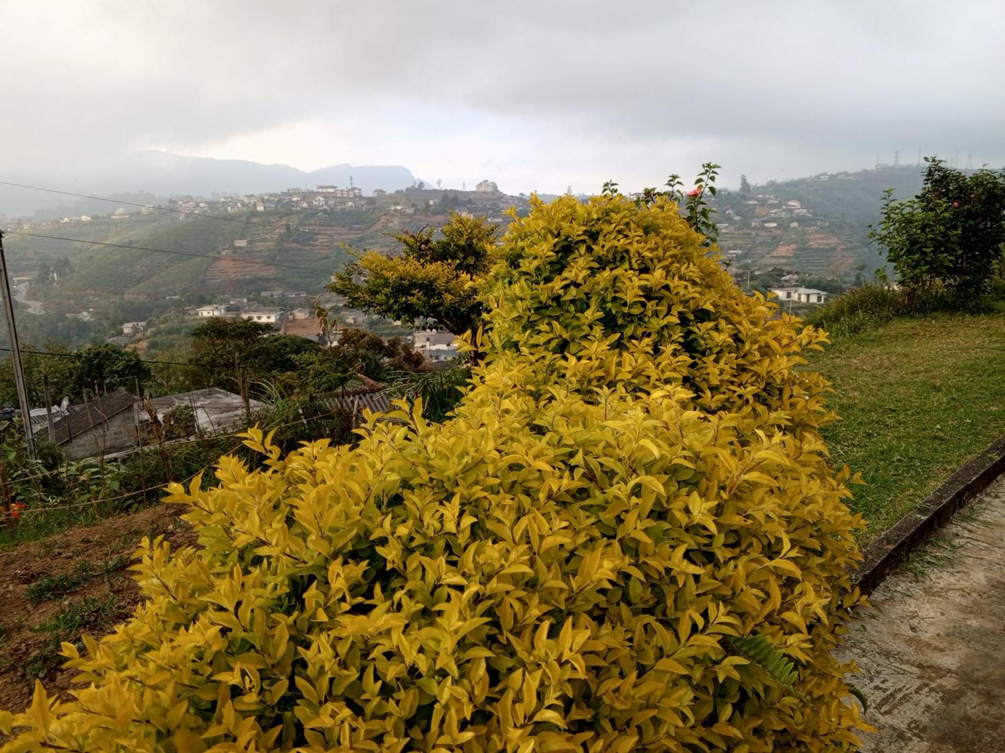 Mount View Cottage Nuwara Eliya Zewnętrze zdjęcie