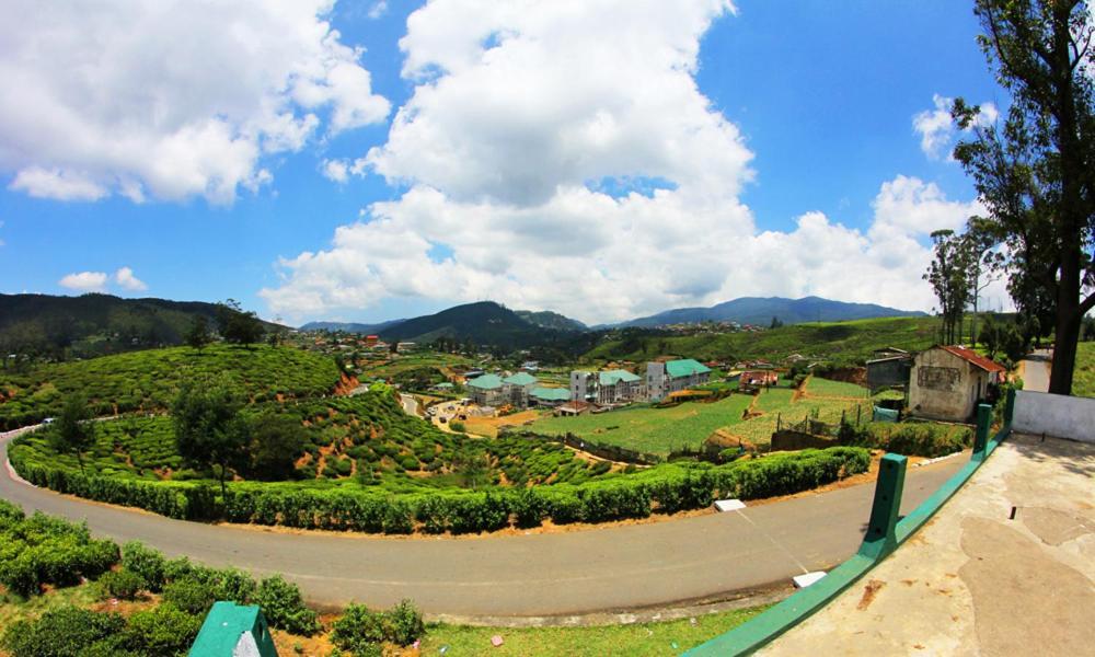 Mount View Cottage Nuwara Eliya Zewnętrze zdjęcie